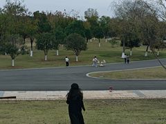 -盘龙城国家考古遗址公园