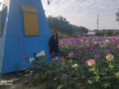 -广东花都香草世界旅游度假区