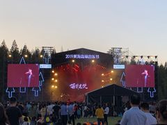 -黄海国家森林公园