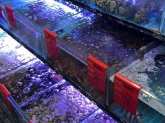 水产区-金海湾海鲜排档(朱家尖店)