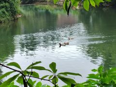 -龙苍沟森林公园