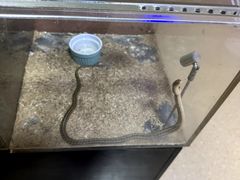 -萌宠奇缘(荣鼎店)