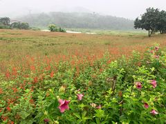 -孔雀湖生态旅游区