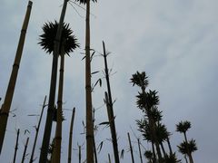 -眉山湿地公园(东坡区)