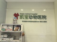 -悦宠凯宝动物医院·牙科·皮肤科(朝阳北路店)