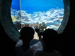 -北海·海洋之窗