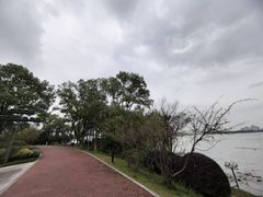 -金鸡湖桃花岛