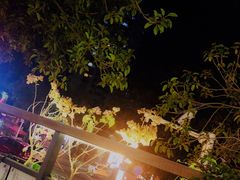 -厦门海景千禧大酒店·海景咖啡厅