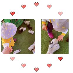 -萌宠亲子动物乐园(槐房万达店)