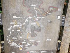 -广州市流溪河国家森林公园