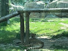 -北京野生动物园