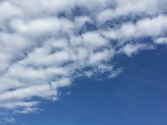 -炑羊香烤全羊(西三旗店)