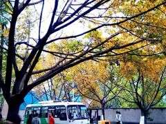 -重庆工商大学(南岸校区)