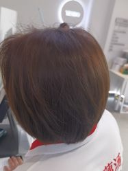 -YESIDO椰岛造型