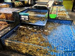 -东海怡品海鲜豆捞(舟宿夜江店)