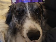 -GANSO元祖食品(沪青平店)