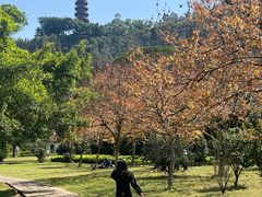 -南沙天后宫景区