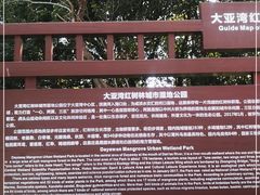 -大亚湾红树林城市湿地公园