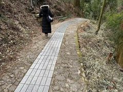 -东天目山风景区