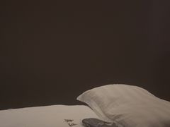-康逸居·始于2002(海安店)