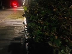 -深圳龙华星河COCO City(民治店)