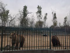 -秦皇岛野生动物园