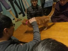 -密讯馆密室逃脱&换装侦探剧(环球港旗舰店)