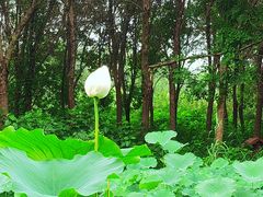 -东郊湿地公园