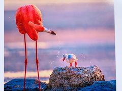 -罗红摄影艺术馆