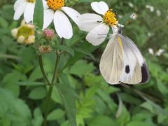 -白鹭湾湿地公园