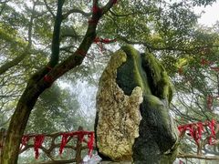 -广州市帽峰山景区