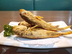 -船歌鱼水饺(高新园区店)