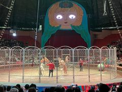 -俄罗斯国家大马戏团