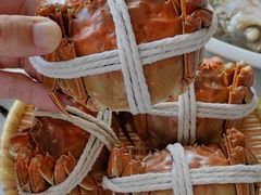 -丫丫蟹庄·蟹宴阁农家乐(阳澄湖莲花岛店)