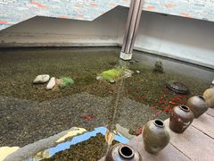 -几荷·恰似故人来(秀水广场店)