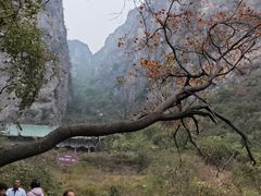 -神农山景区