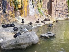 -燕塞湖鸟语林景区