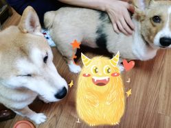 -就是个做半永久的地方·纹眉眼线