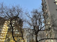 -北京理工大学(中关村校区)