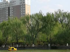-宝鸡植物园