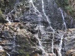 -江西阳明山国家森林公园