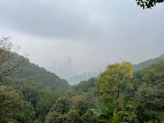 -大金鹰园