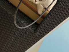 -lincat·猫舍(广州店)