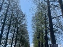 -东湖落雁景区
