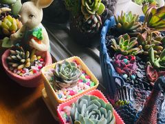 -三圣花乡旅游区