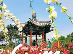 -国家植物园