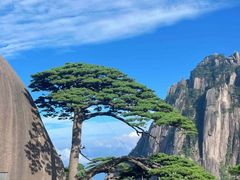 -黄山风景区