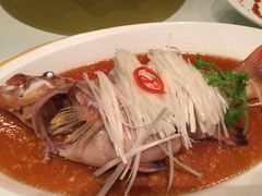 东星斑-金轩中餐厅 Jin Xuan(浦东丽思卡尔顿酒店)
