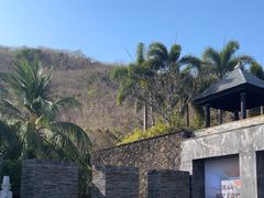 -日落吧·海景咖啡厅·餐酒吧·鸡尾酒·下午茶·乐队表演·浪漫夕阳·三亚文华东方酒店