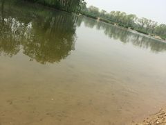 -大兴滨河森林公园